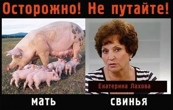 Tweet media