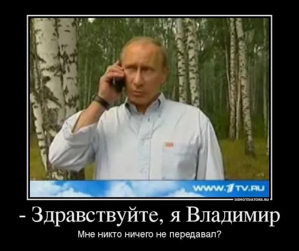 Tweet media