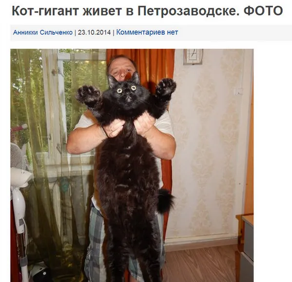 Tweet media