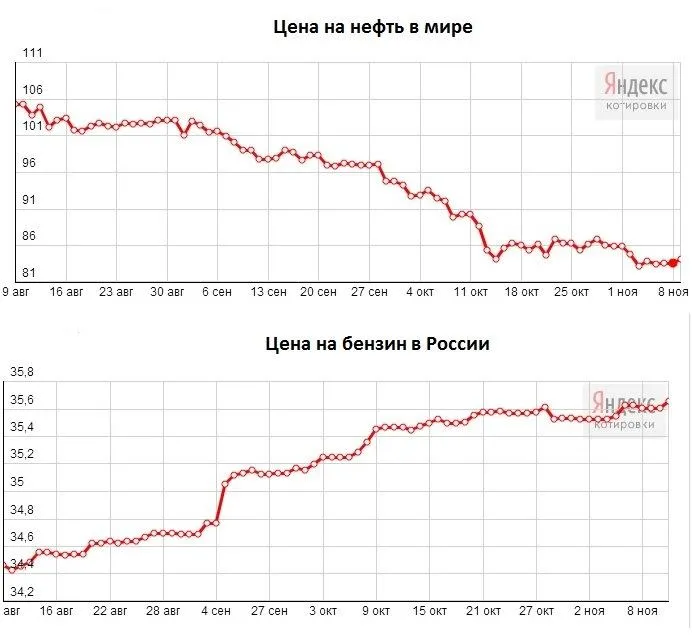 Tweet media