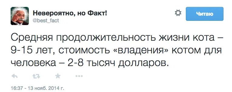 Tweet media