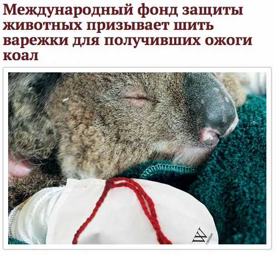 Tweet media