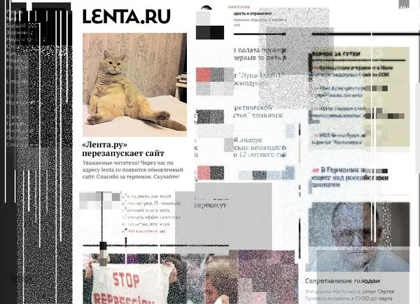 Tweet media