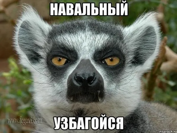 Tweet media