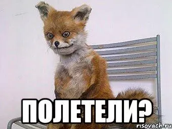 Tweet media
