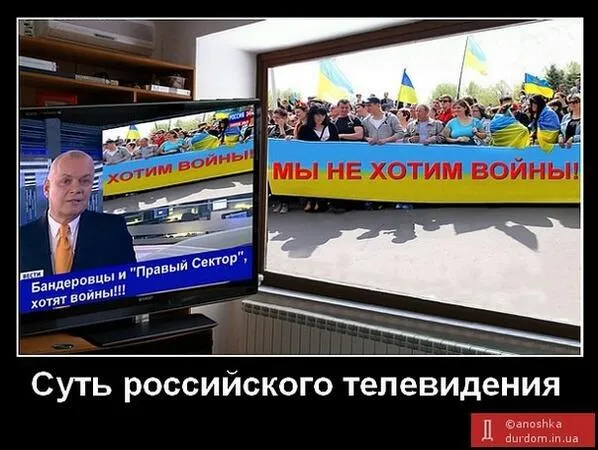 Tweet media