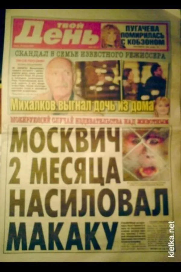 Tweet media
