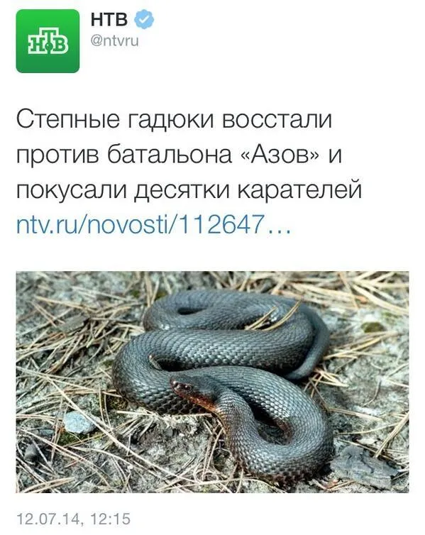 Tweet media