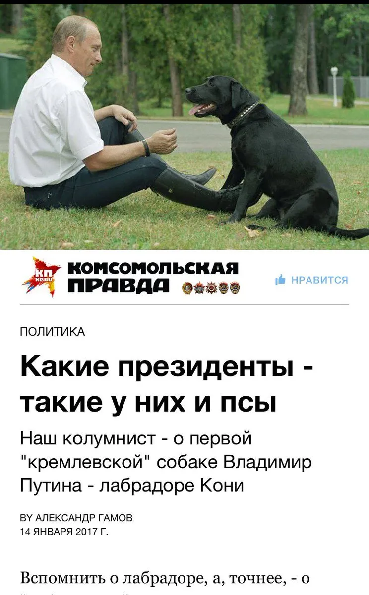 Tweet media