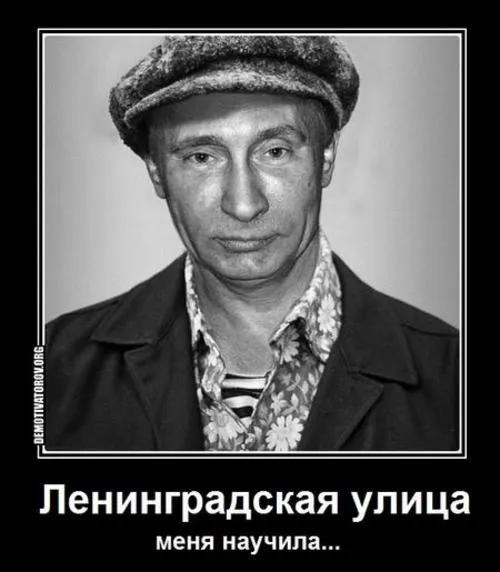 Tweet media