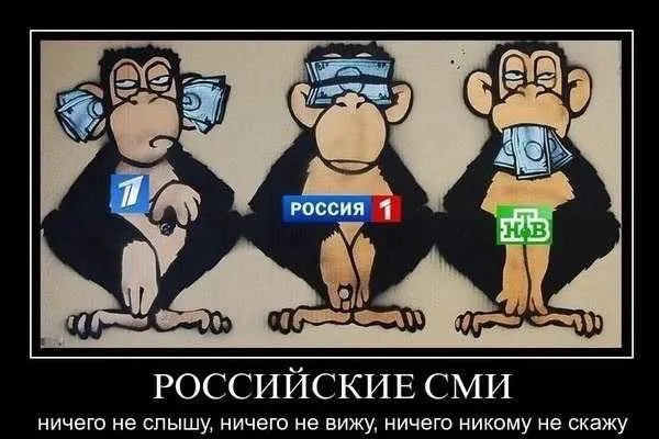 Tweet media