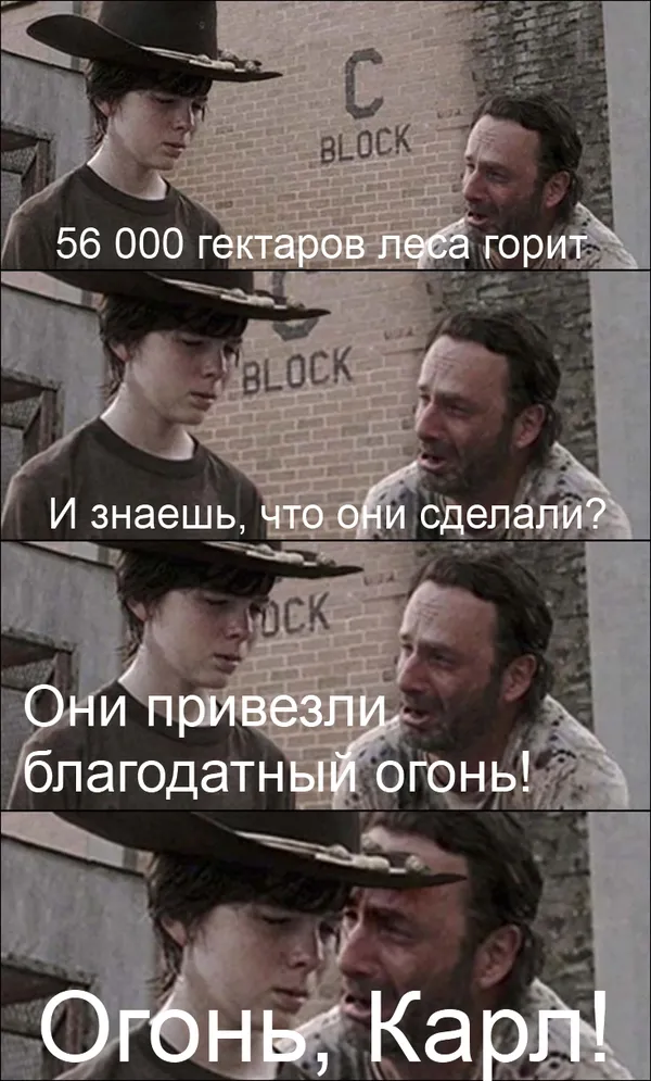 Tweet media