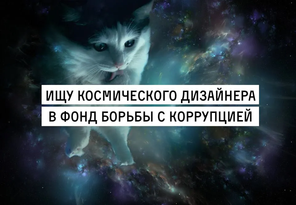 Tweet media