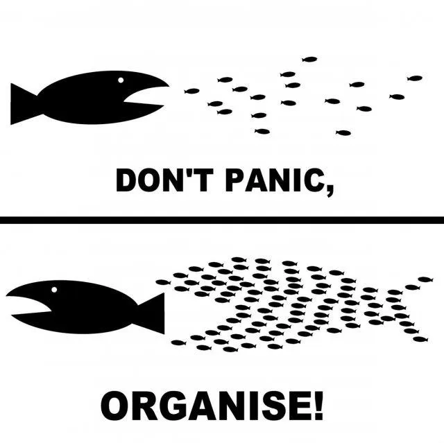 Tweet media