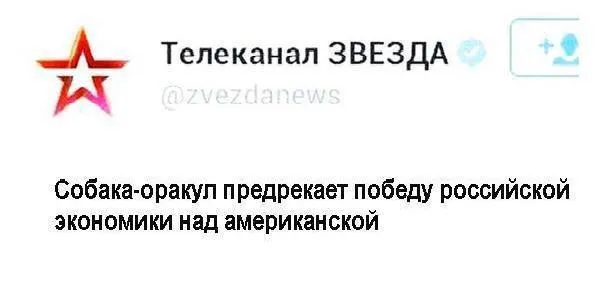 Tweet media