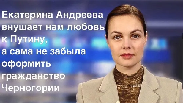 Tweet media