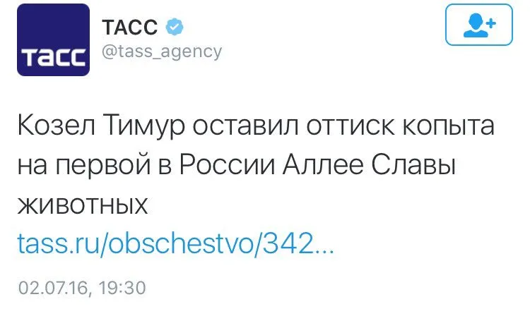 Tweet media