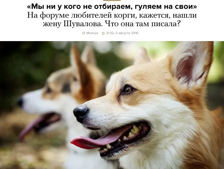 Tweet media
