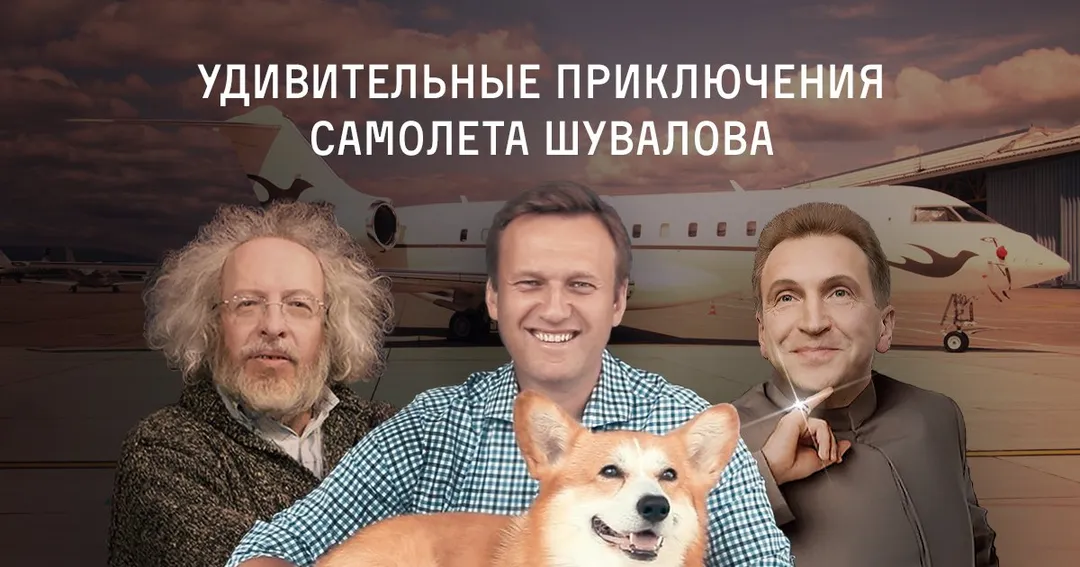 Tweet media