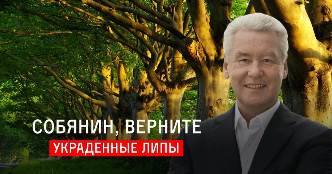 Tweet media