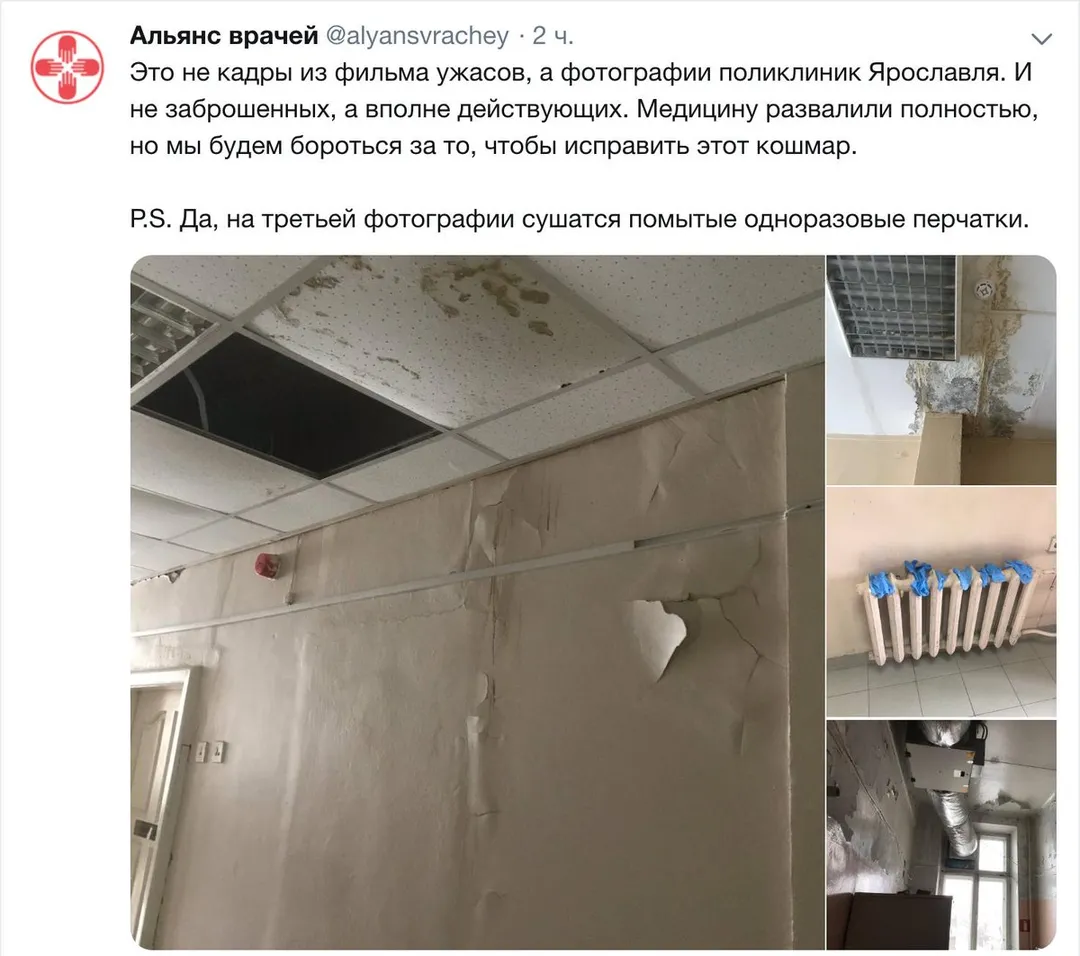 Tweet media