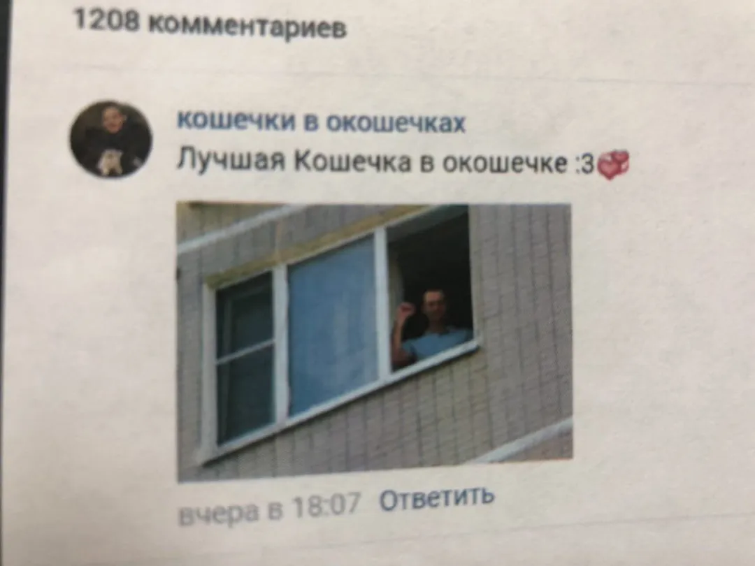 Tweet media