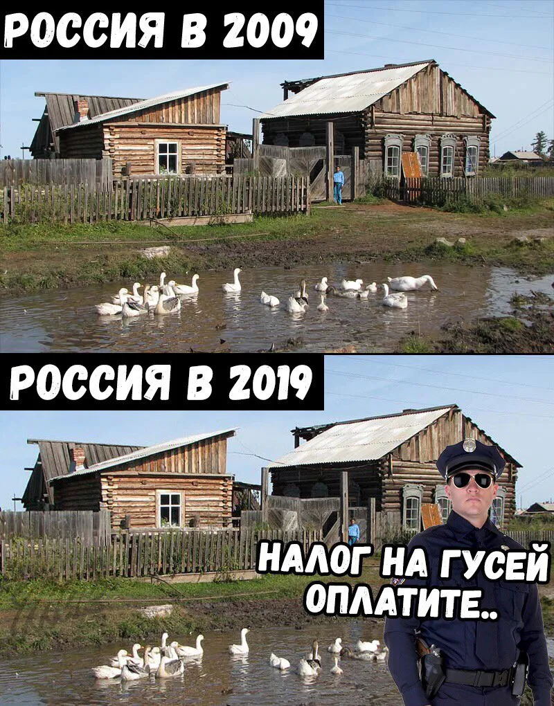 Tweet media