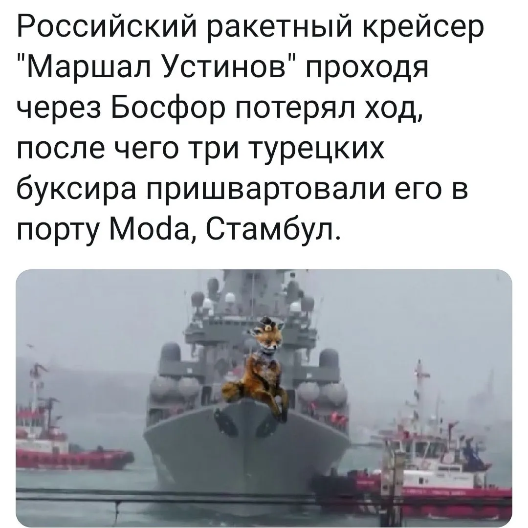 Tweet media