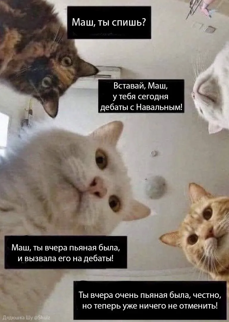 Tweet media