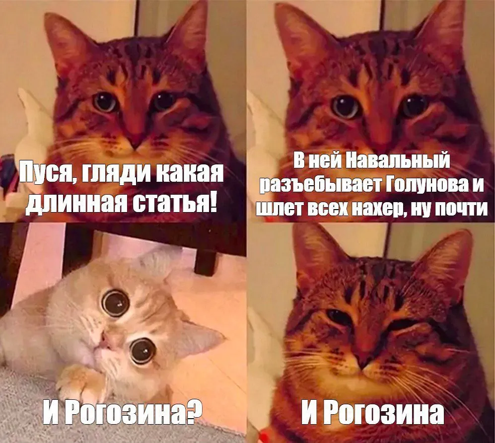 Tweet media