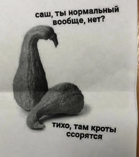 Tweet media