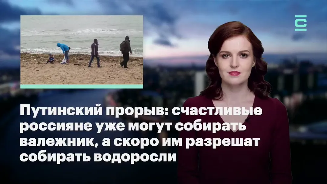 Tweet media