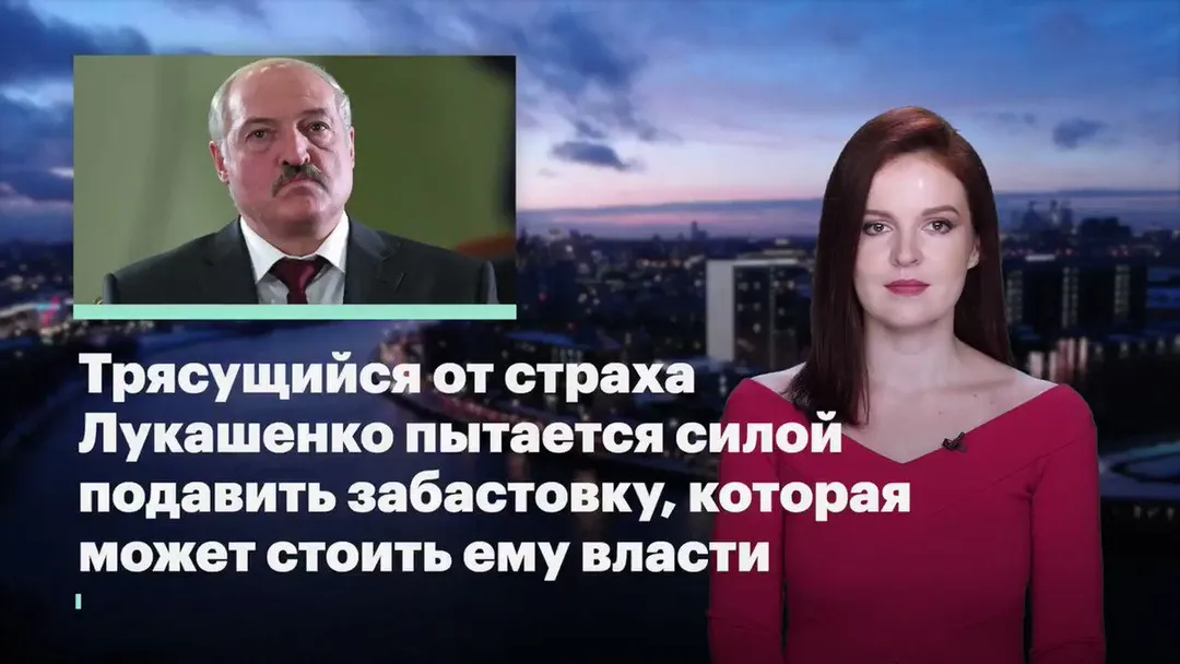 Tweet media