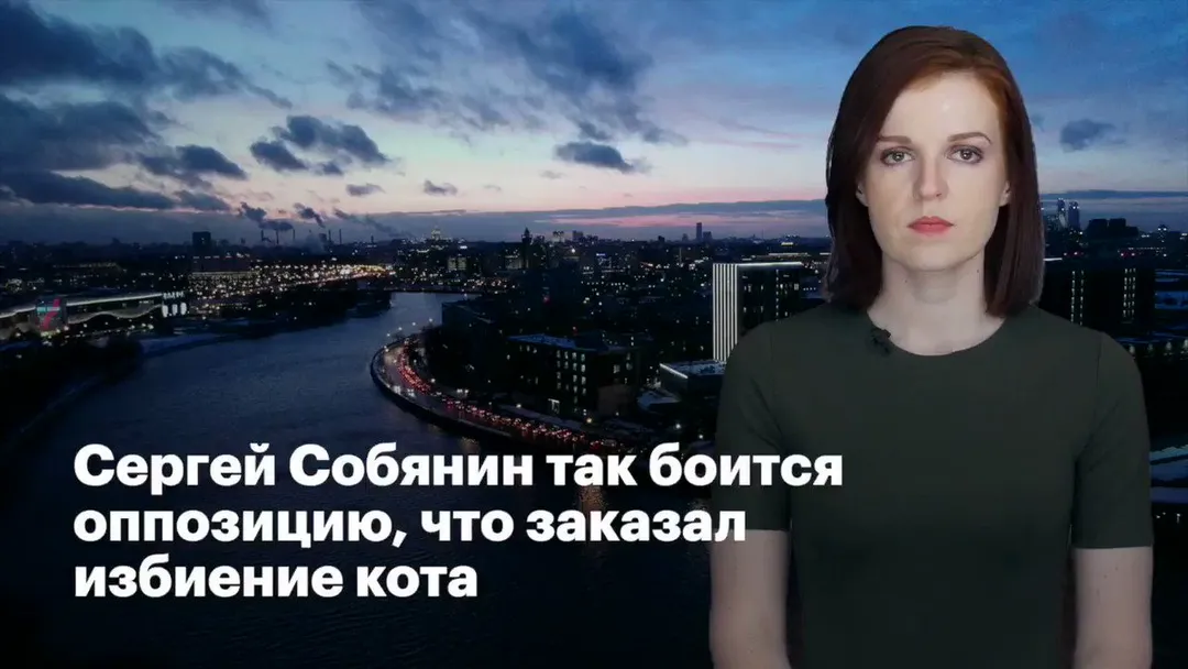 Tweet media