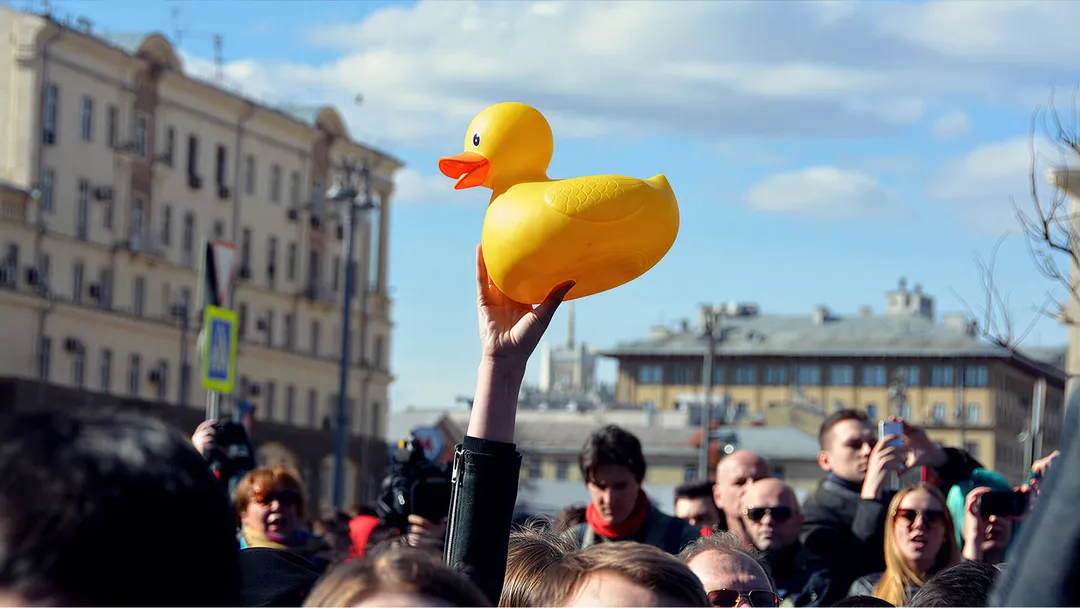 Уточки — символ протестов 2017 года