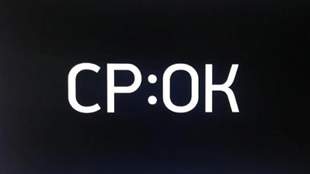 An episode from the film Srok. The detention of Alexei Navalny at Bolotnaya Square
